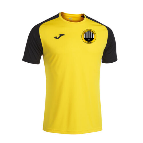 Alternative Away Shirt (Junior) Thumbnail
